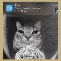 Ring There Is Motion At Your Front Door Funny Sweatshirt thumb 2