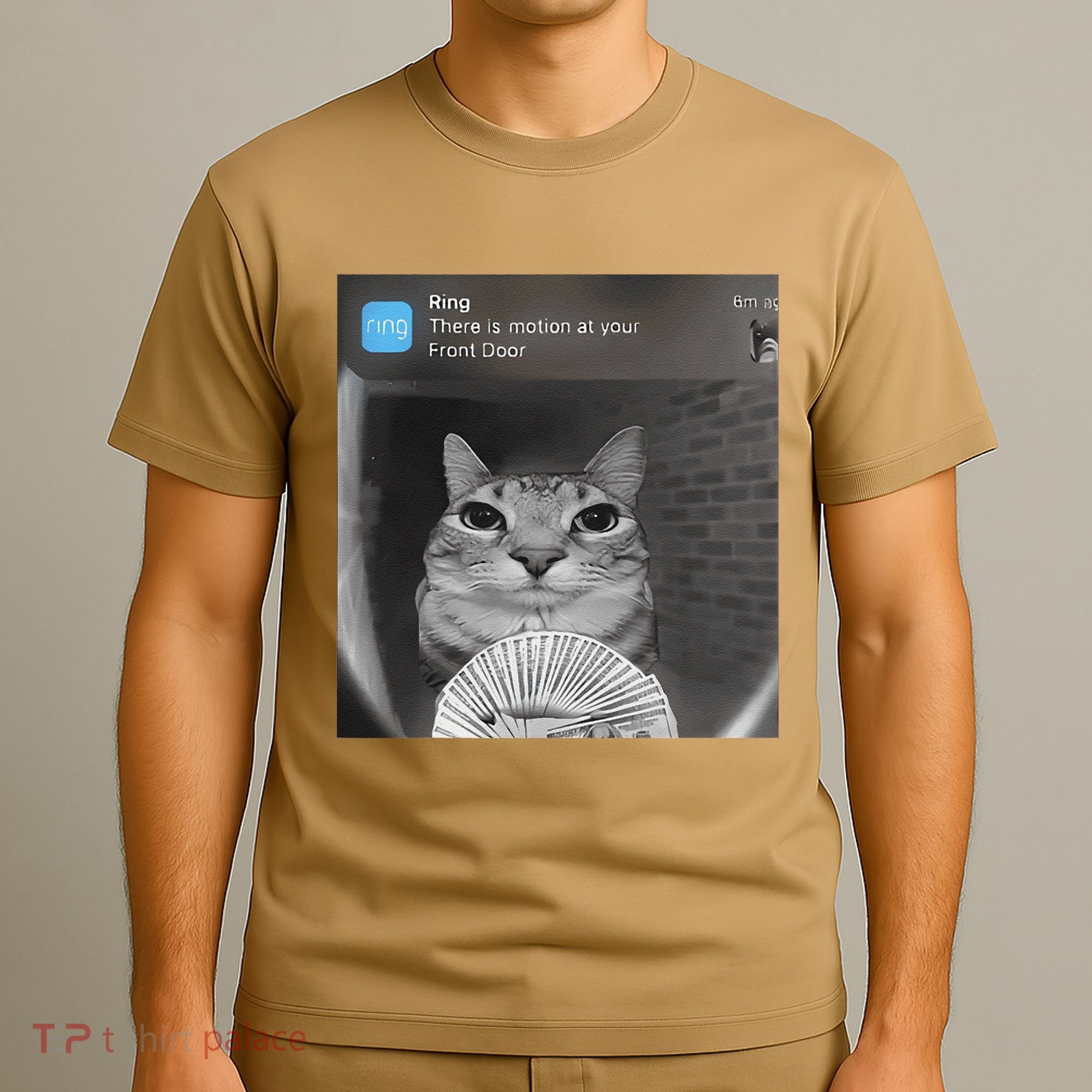 Ring There Is Motion At Your Front Door Funny T-Shirt