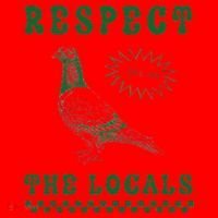 Respect The Local Pigeon Funny Retro Silly Pigeons Lover Santa Hat thumb 1