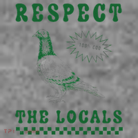 Respect The Local Pigeon Funny Retro Silly Pigeons Lover Toddler Hoodie thumb 2