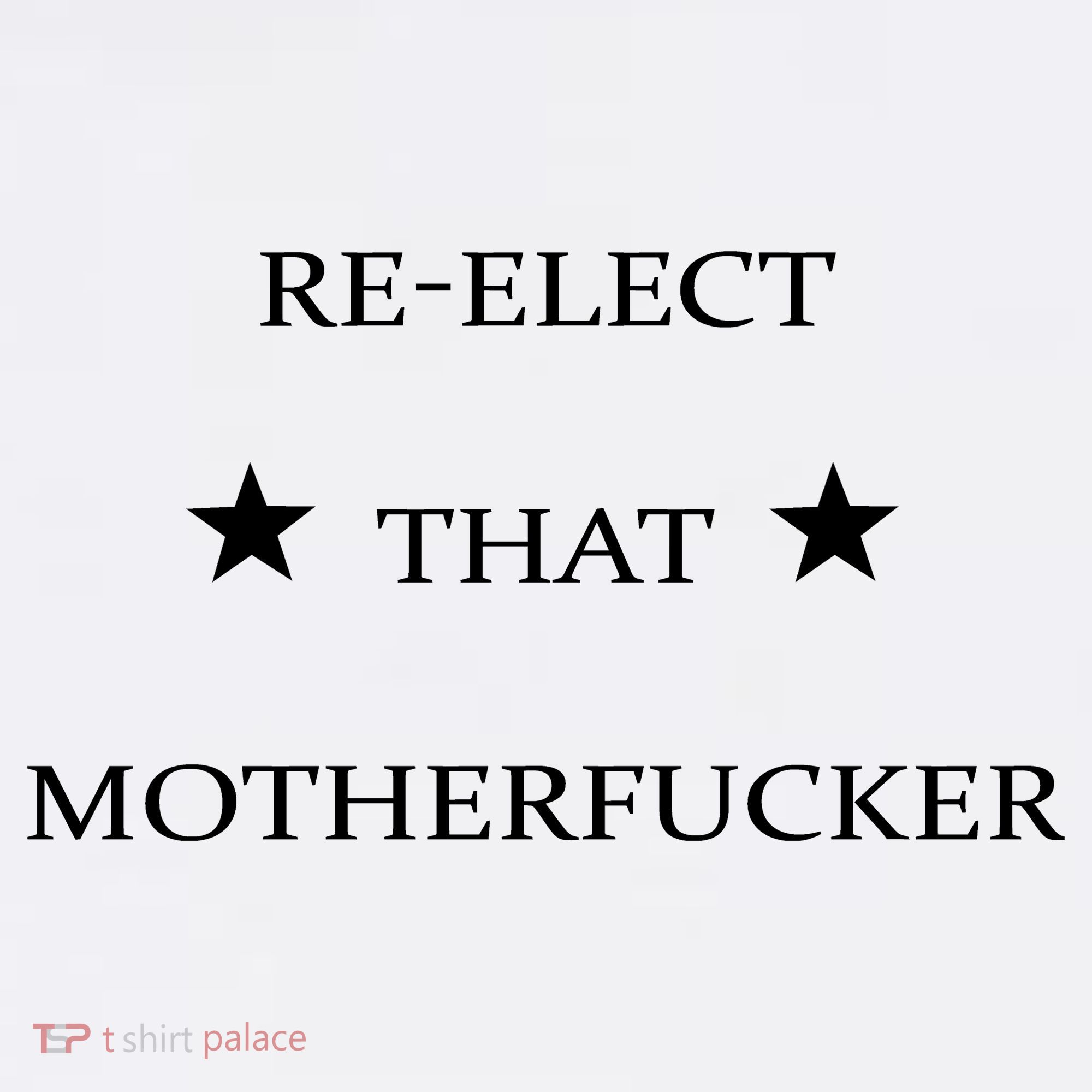 Reelect That Motherfucker Funny Political Hoodie