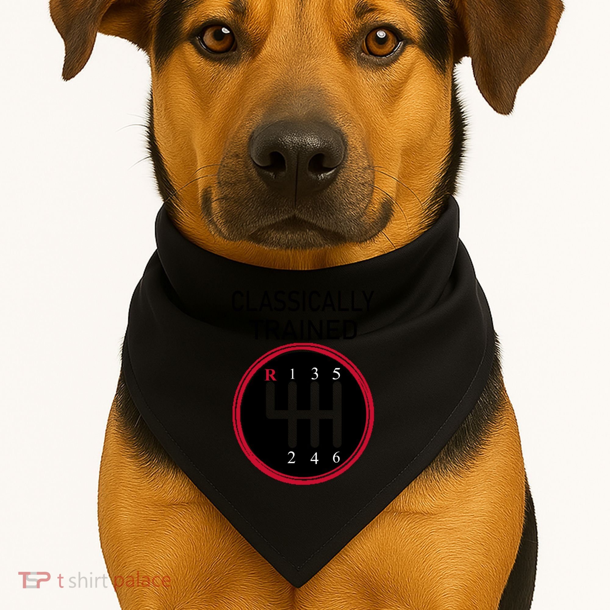 Racing Three Pedals Classically Trained Ual Transmission Gift USA-Made Doggie Bandana