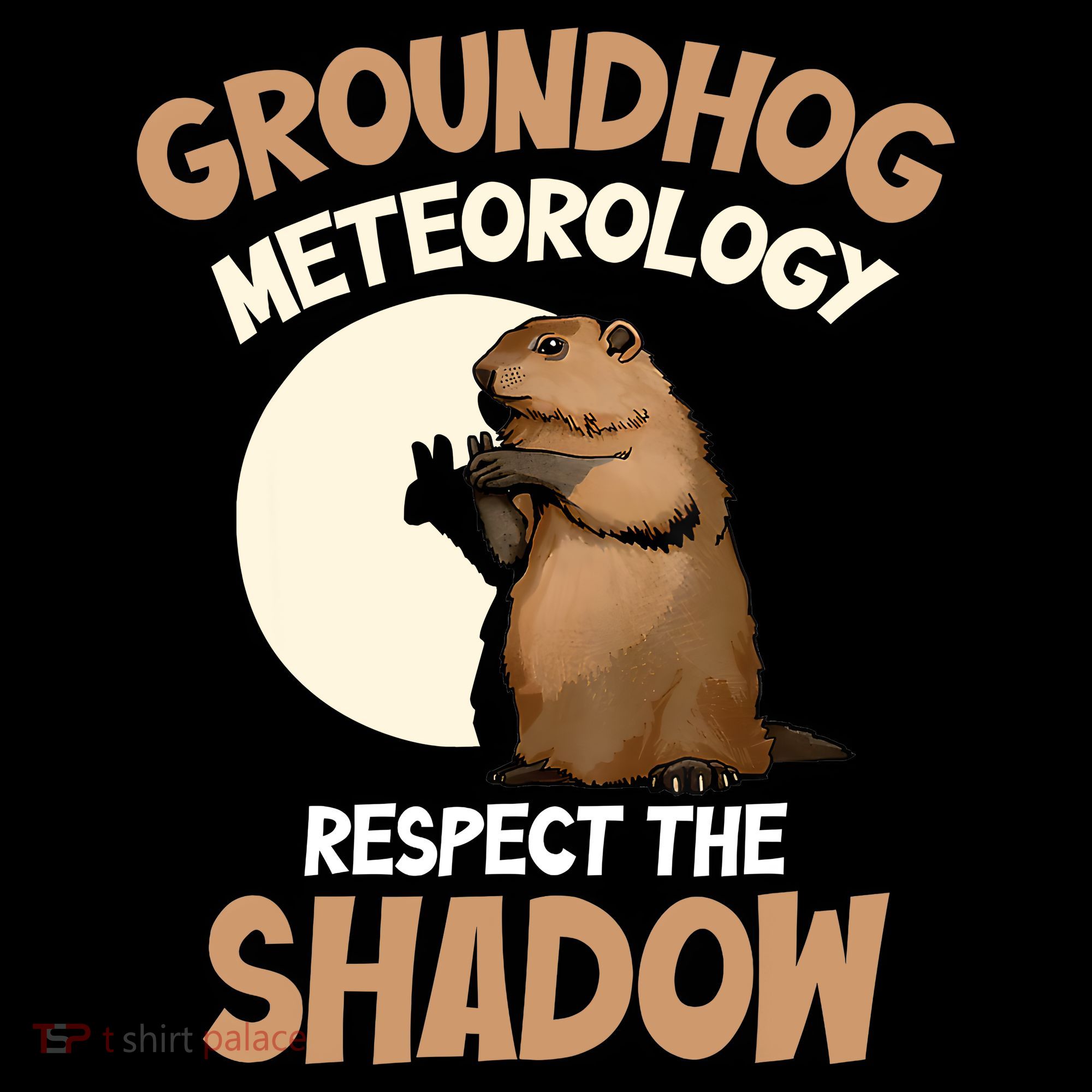 Respect The Shadow Meteorology Funny Groundhog Day Women's Hoodie