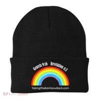 Revelation Taking The Rainbow Back Beanie thumb 0