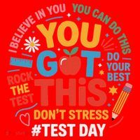 Rock The Test Dont Stress You Got This Funny Testing Day Santa Hat thumb 1