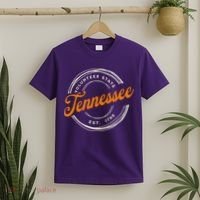 Retro Tennessee Volunteer State T-Shirt thumb 2