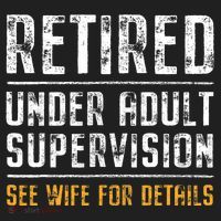 Retired Under Adult Supervision See Wife For Details Funny  Beanie thumb 2