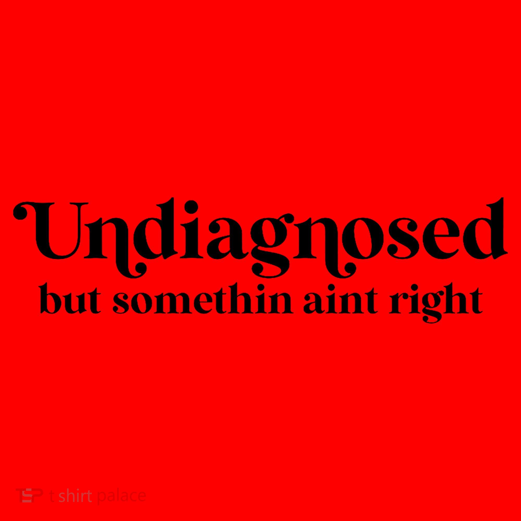 Retro Undiagnosed But Something AinT Right Funny Sarcastic Santa Hat