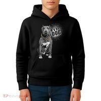 Rude Dog Pitbull Lover Kids Hoodie thumb 4