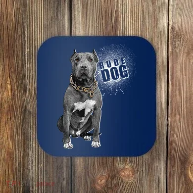Coaster