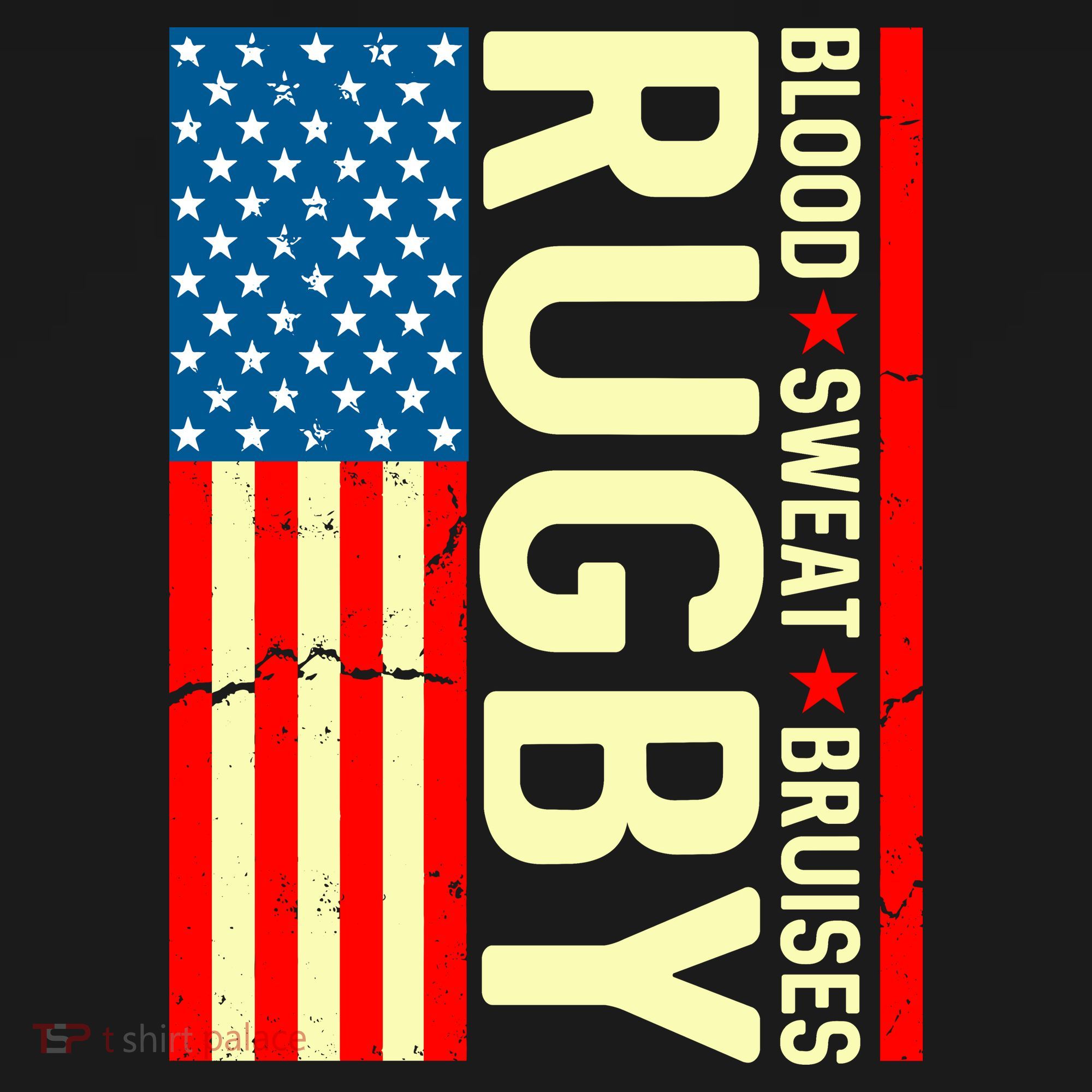 Rugby USA Flag Blood Sweat Bruises Ornament