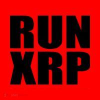 Run XRP Ripple Crypto Currency To the Moon Santa Hat thumb 1