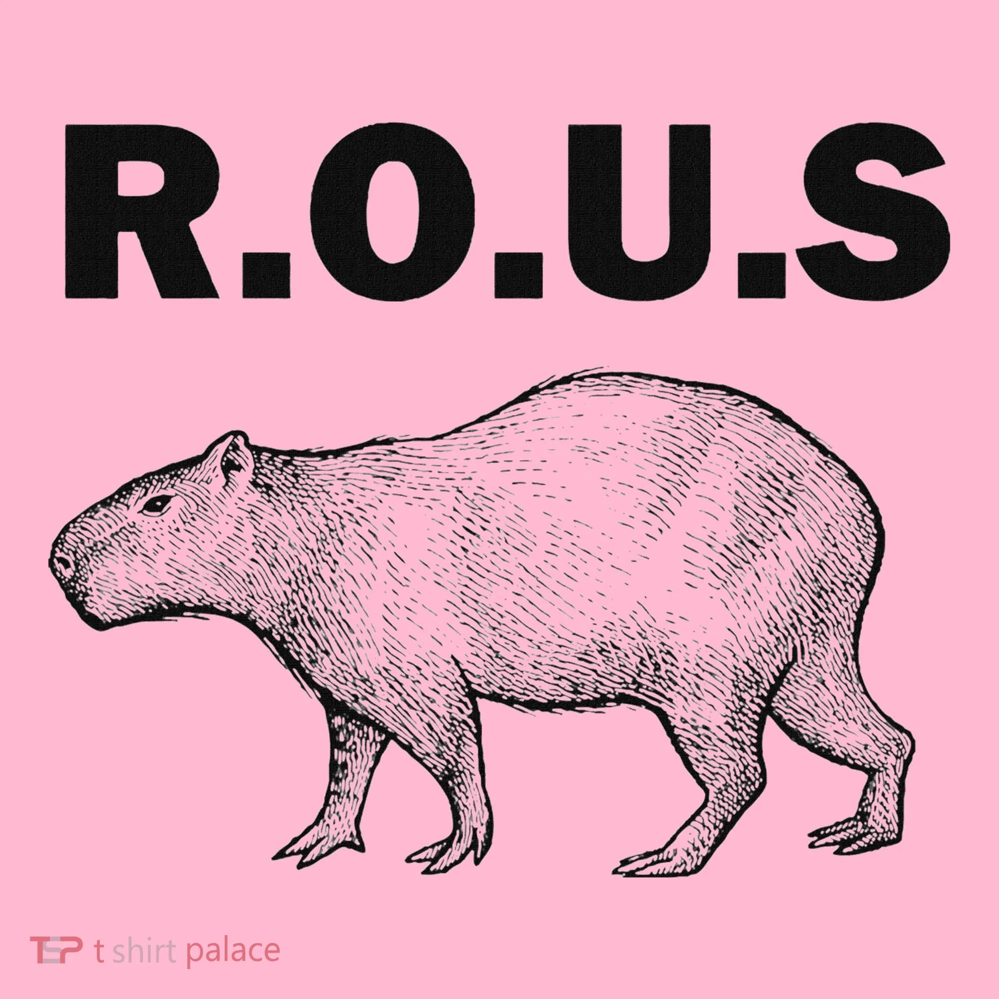 Rous Unusual Rodent Capybara Coaster