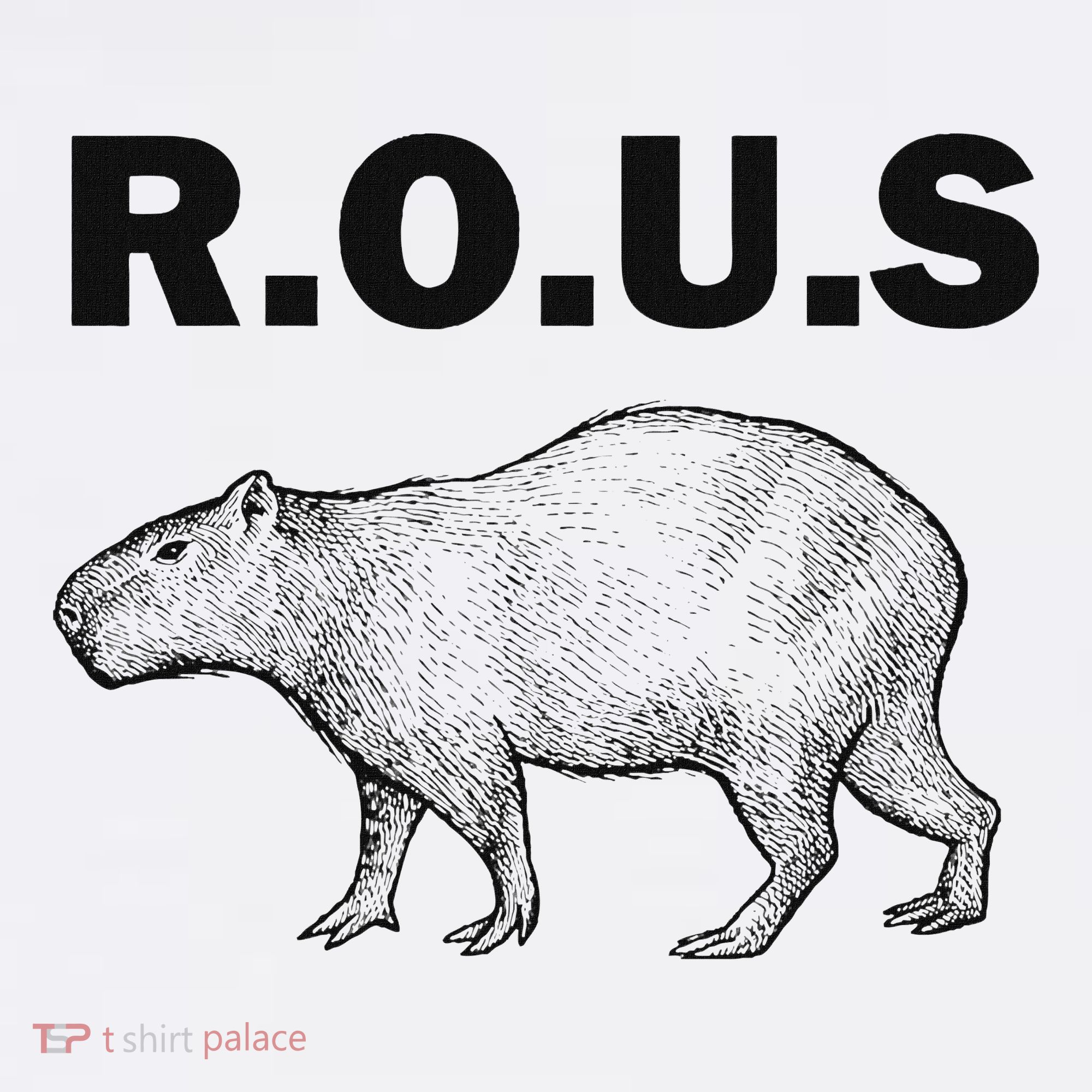 Rous Unusual Rodent Capybara Kids T-Shirt