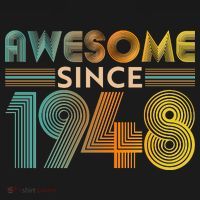 Retro Vintage Awesome Since 1948 Birthday T-Shirt thumb 7