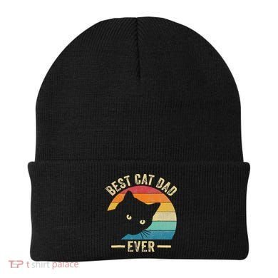 Retro Vintage Best Cat Dad Ever Funny Cat Daddy Fathers Day Beanie