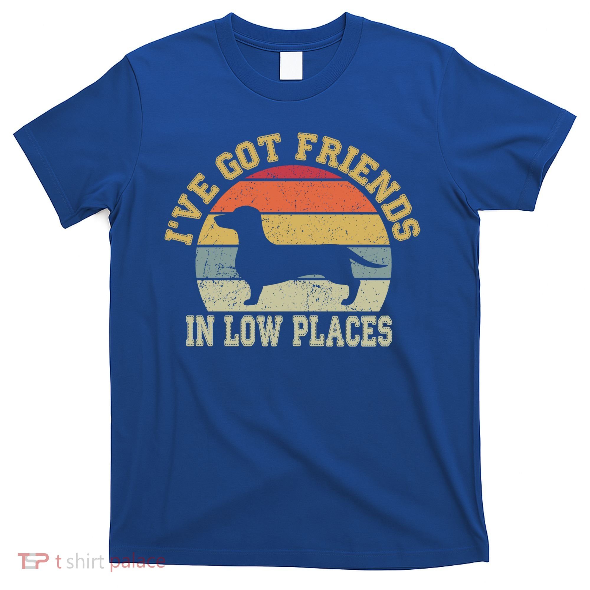 Retro Vintage Dachshund I've Got Friends In Low Place Gift T-Shirt