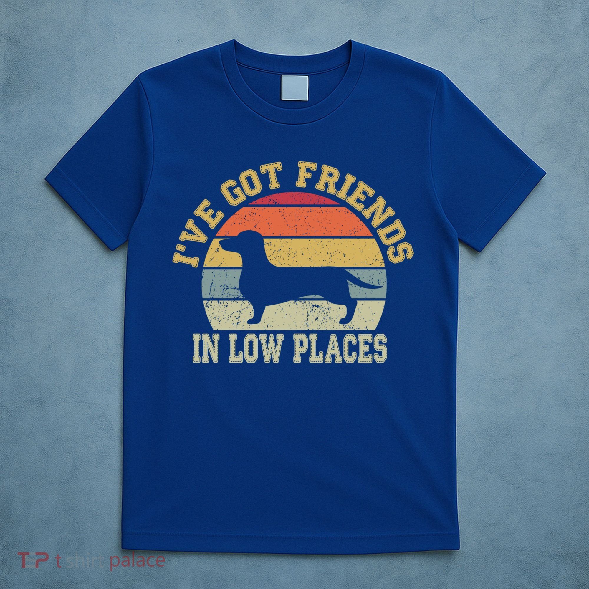Retro Vintage Dachshund I've Got Friends In Low Place Gift T-Shirt