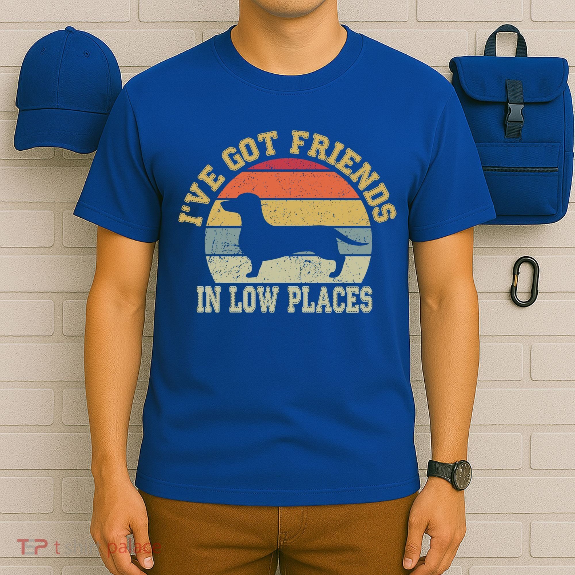 Retro Vintage Dachshund I've Got Friends In Low Place Gift T-Shirt