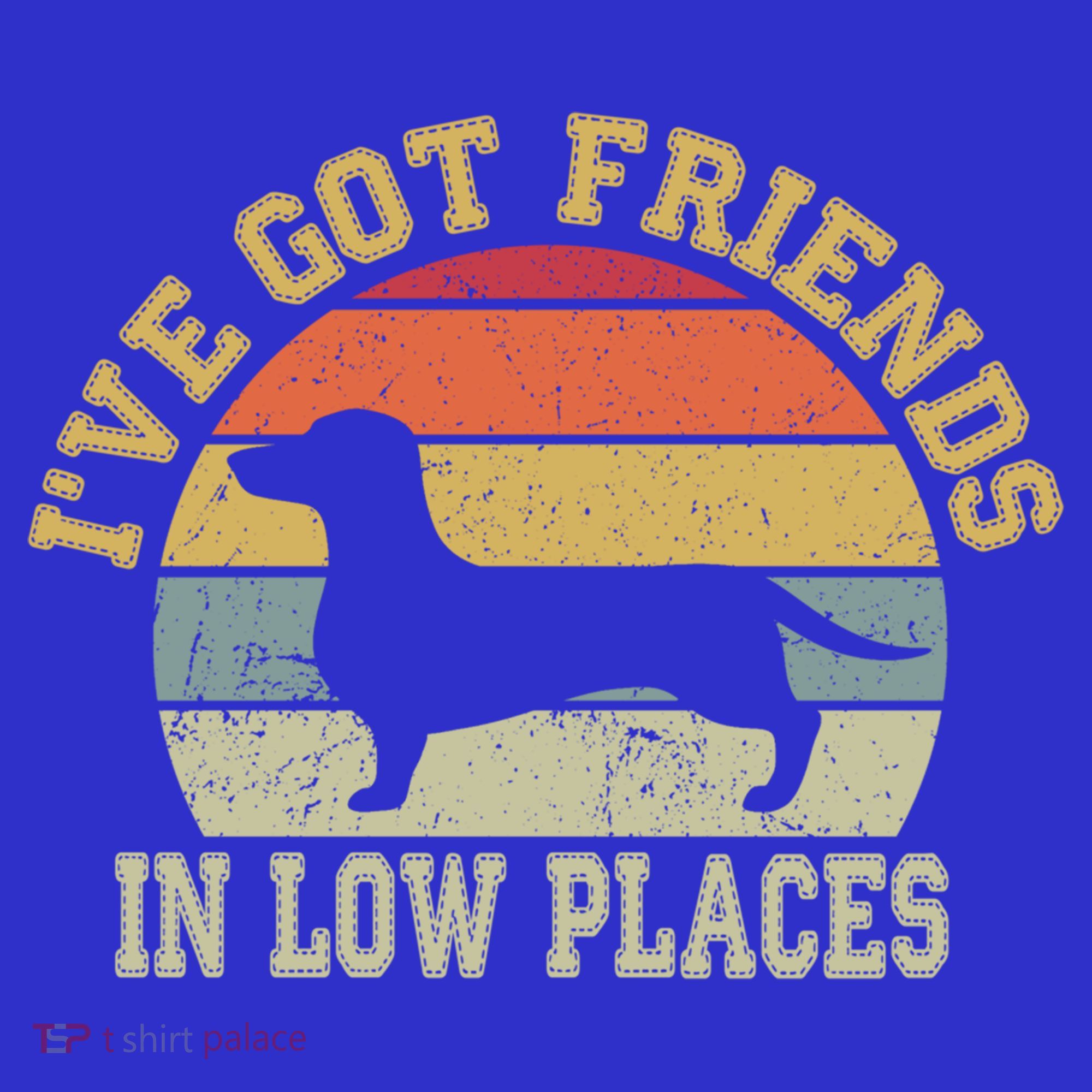 Retro Vintage Dachshund I've Got Friends In Low Place Gift T-Shirt