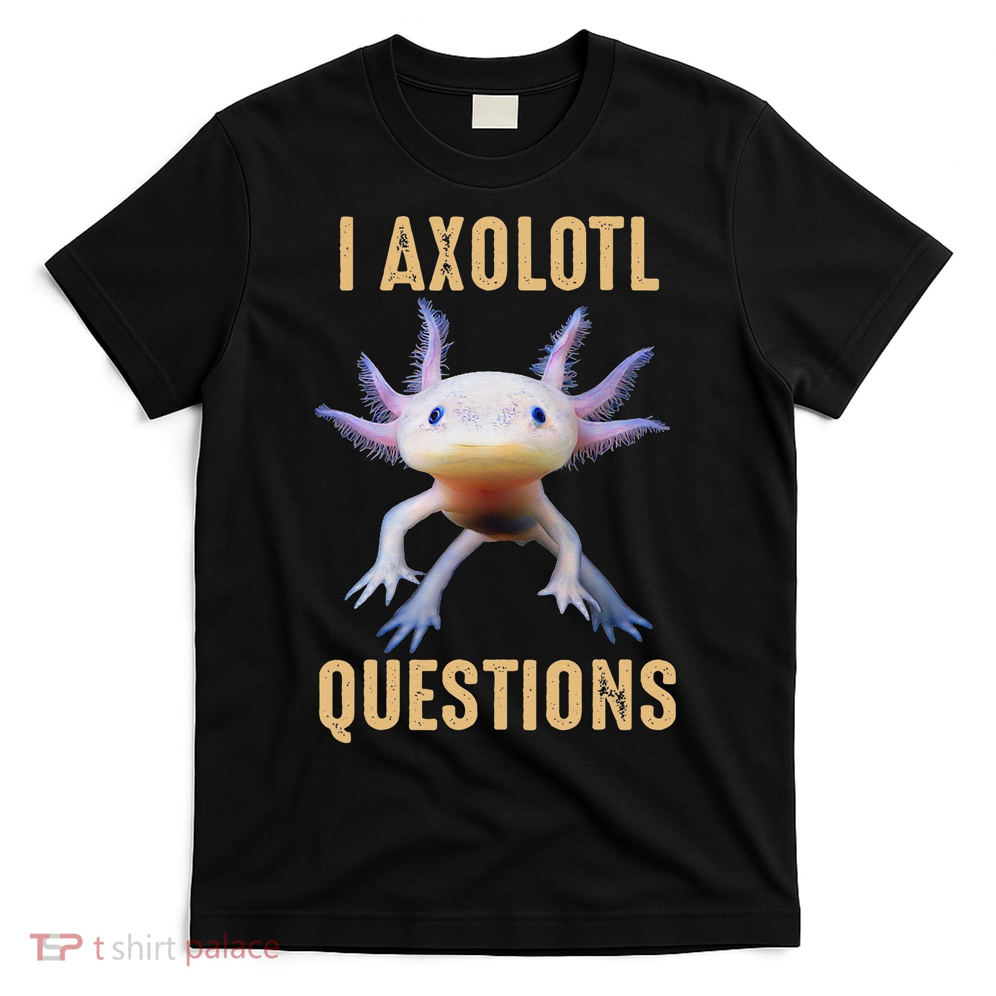 Retro Vintage I Axolotl Questions T-Shirt