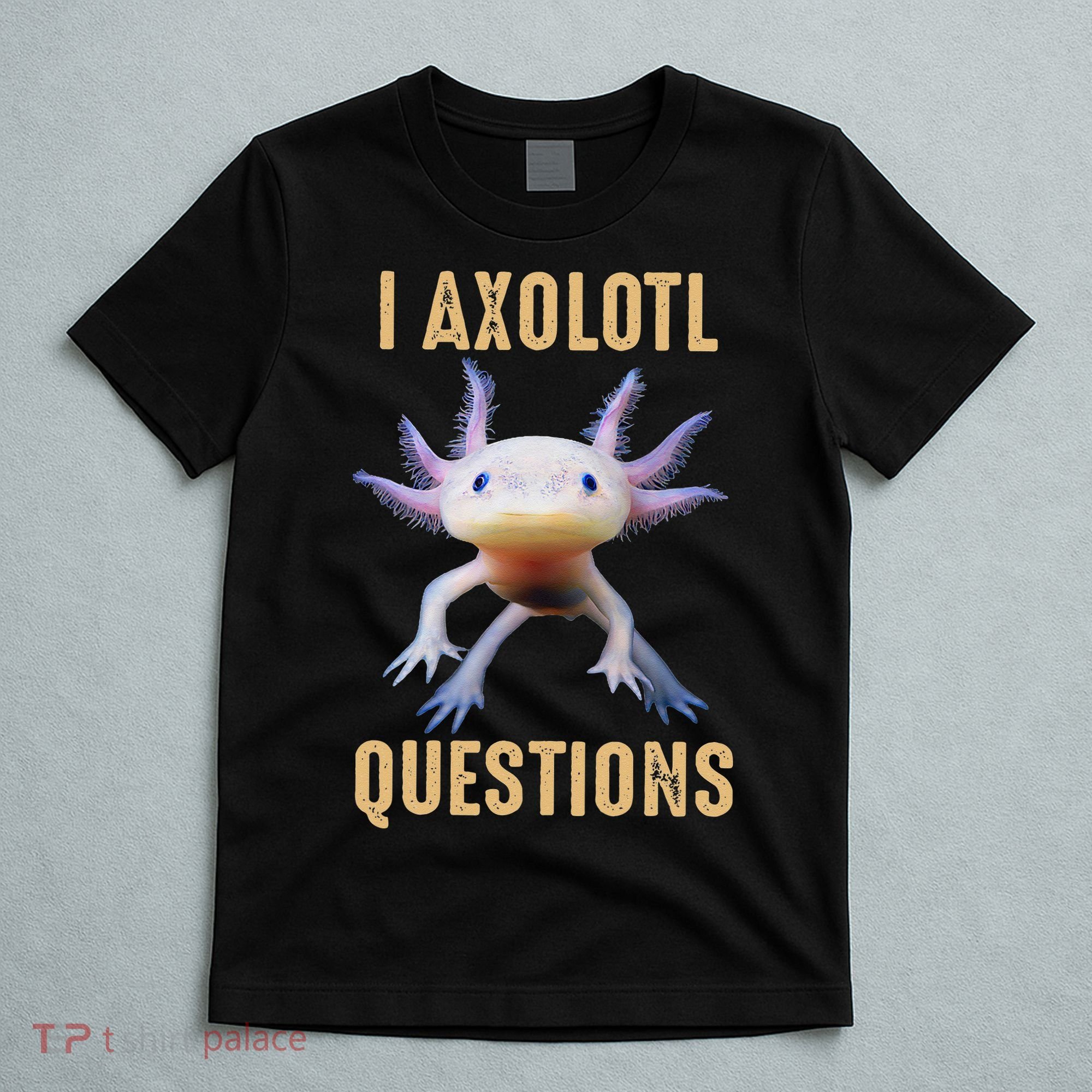 Retro Vintage I Axolotl Questions T-Shirt