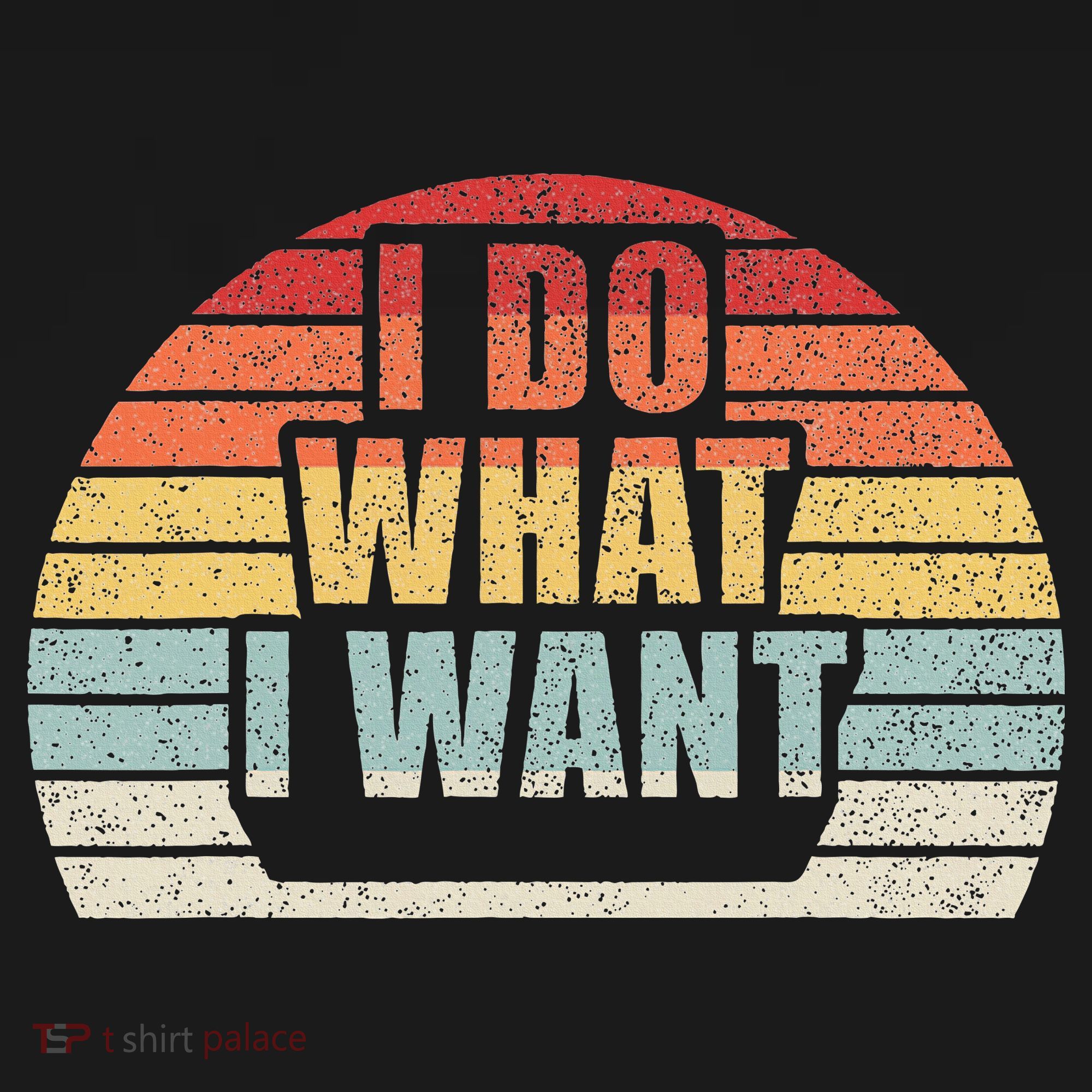 Retro Vintage I Do What I Want T-Shirt