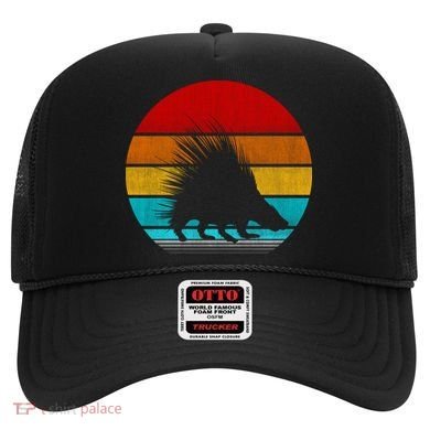 Retro Vintage Porcupine Hat