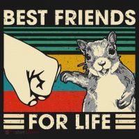 Retro Vintage Squirrel Best Friend For Life Fist Bump T-Shirt thumb 7