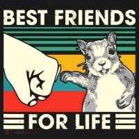 Retro Vintage Squirrel Best Friend For Life Fist Bump T-Shirt thumb 7