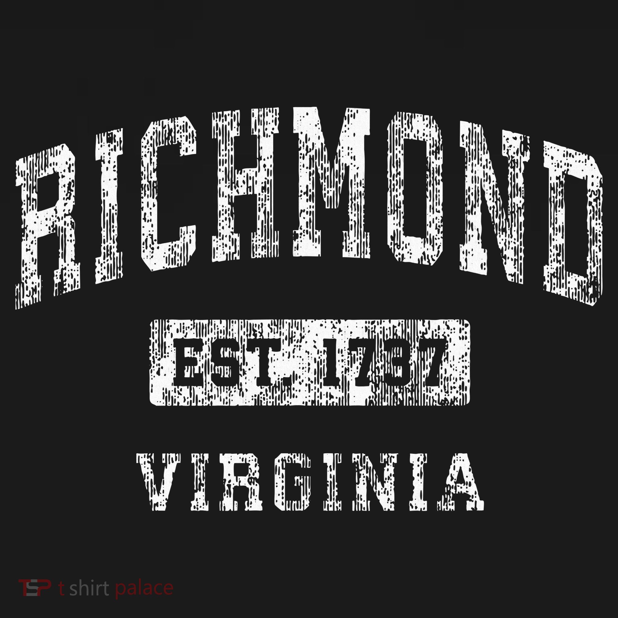 Richmond Virginia Va Vintage Established Sports T-Shirt