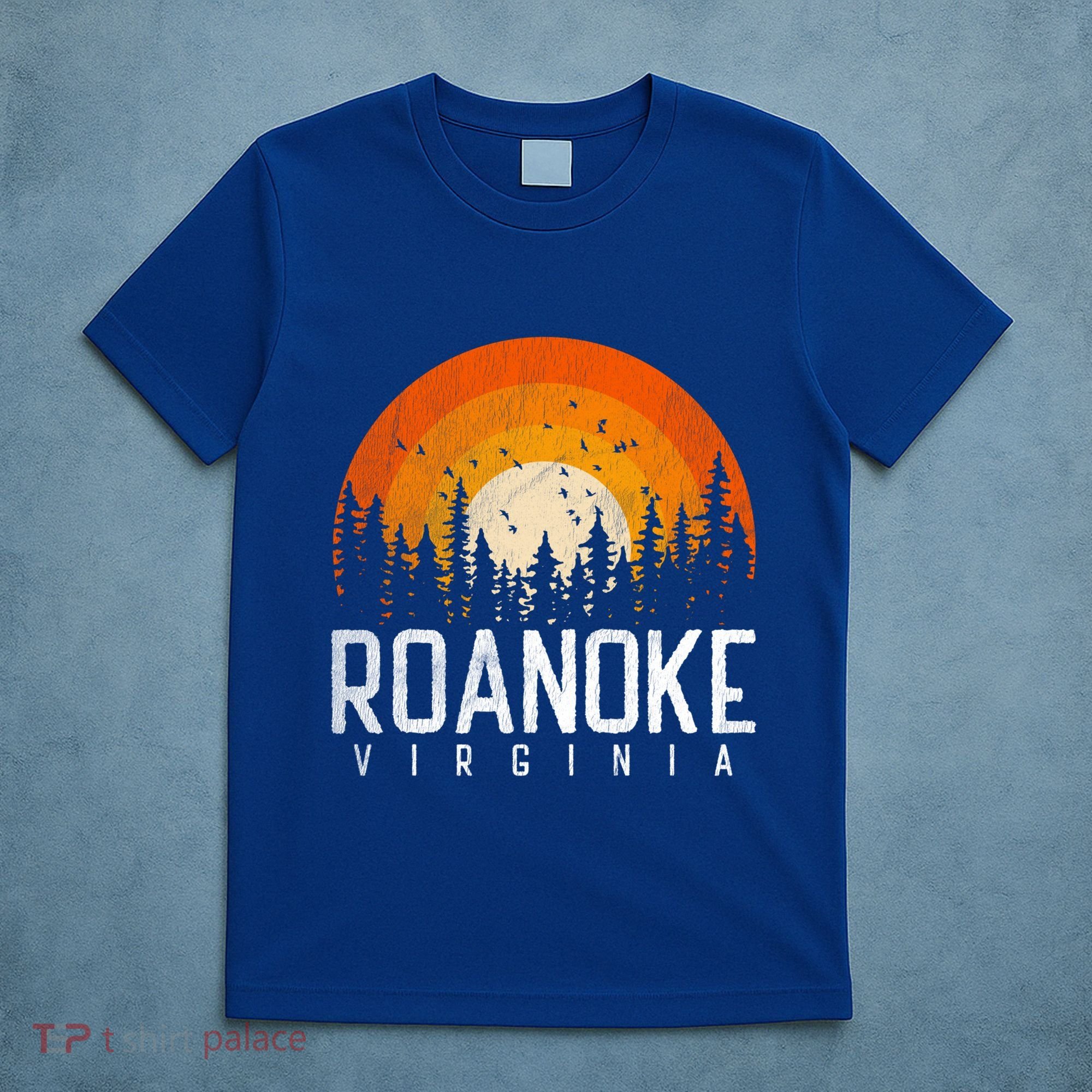 Roanoke Virginia Va Funny Gift Vintage 70s 80s 90s Retro Gift Funny Gift T-Shirt