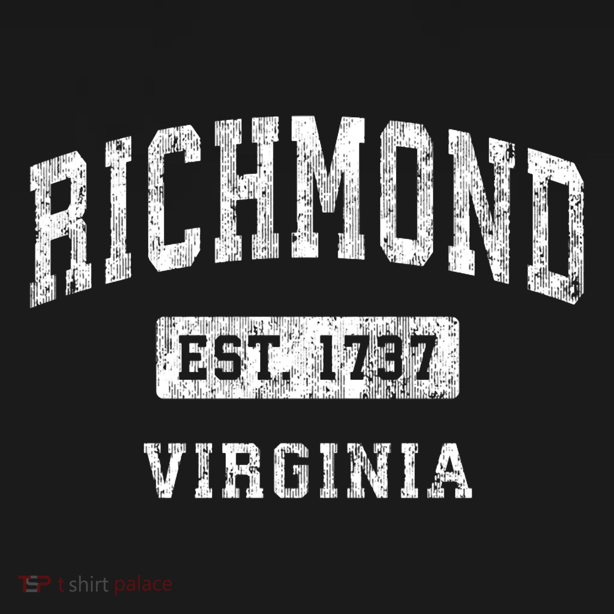 Richmond Virginia Va Vintage Established Sports T-Shirt