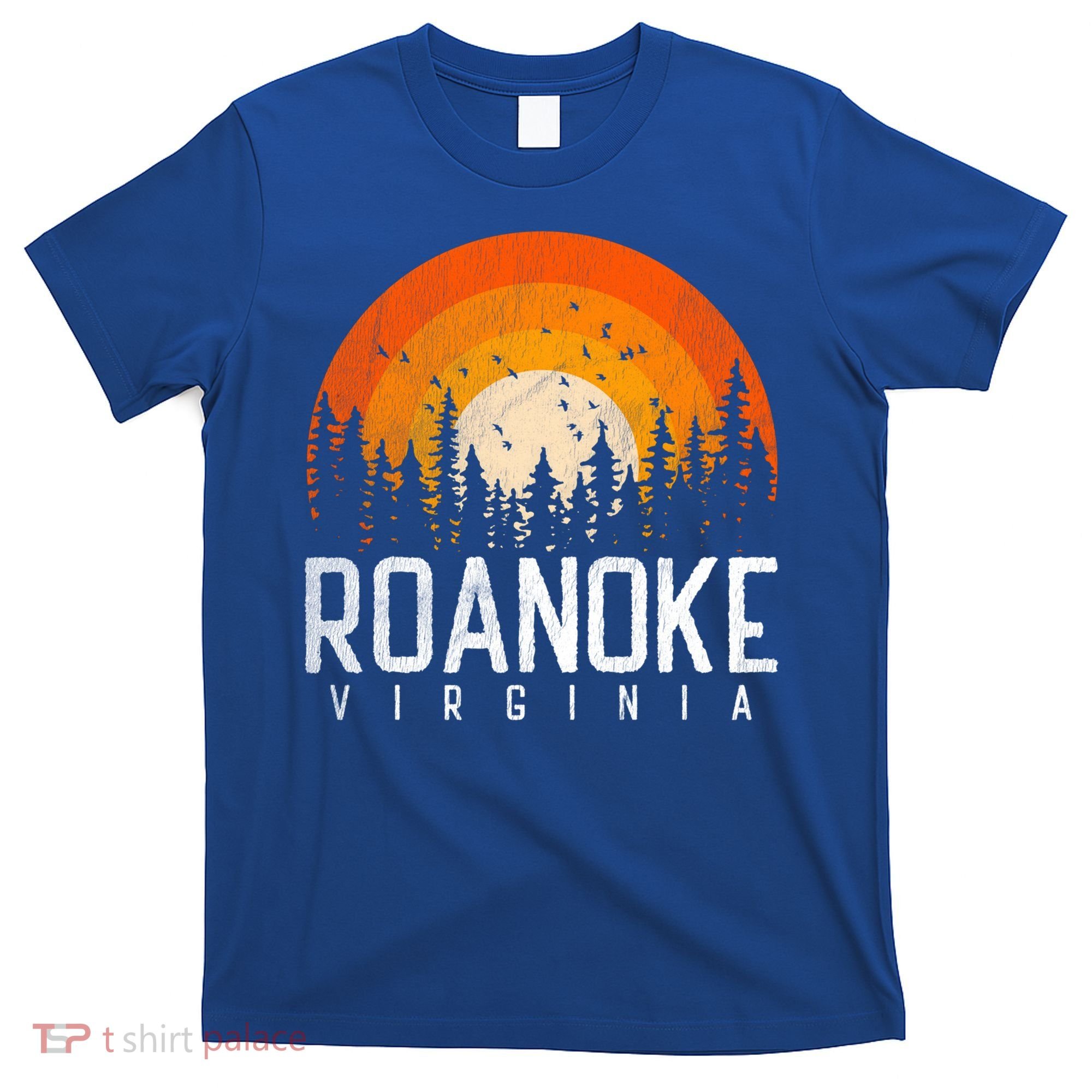 Roanoke Virginia Va Funny Gift Vintage 70s 80s 90s Retro Gift Cute Gift T-Shirt