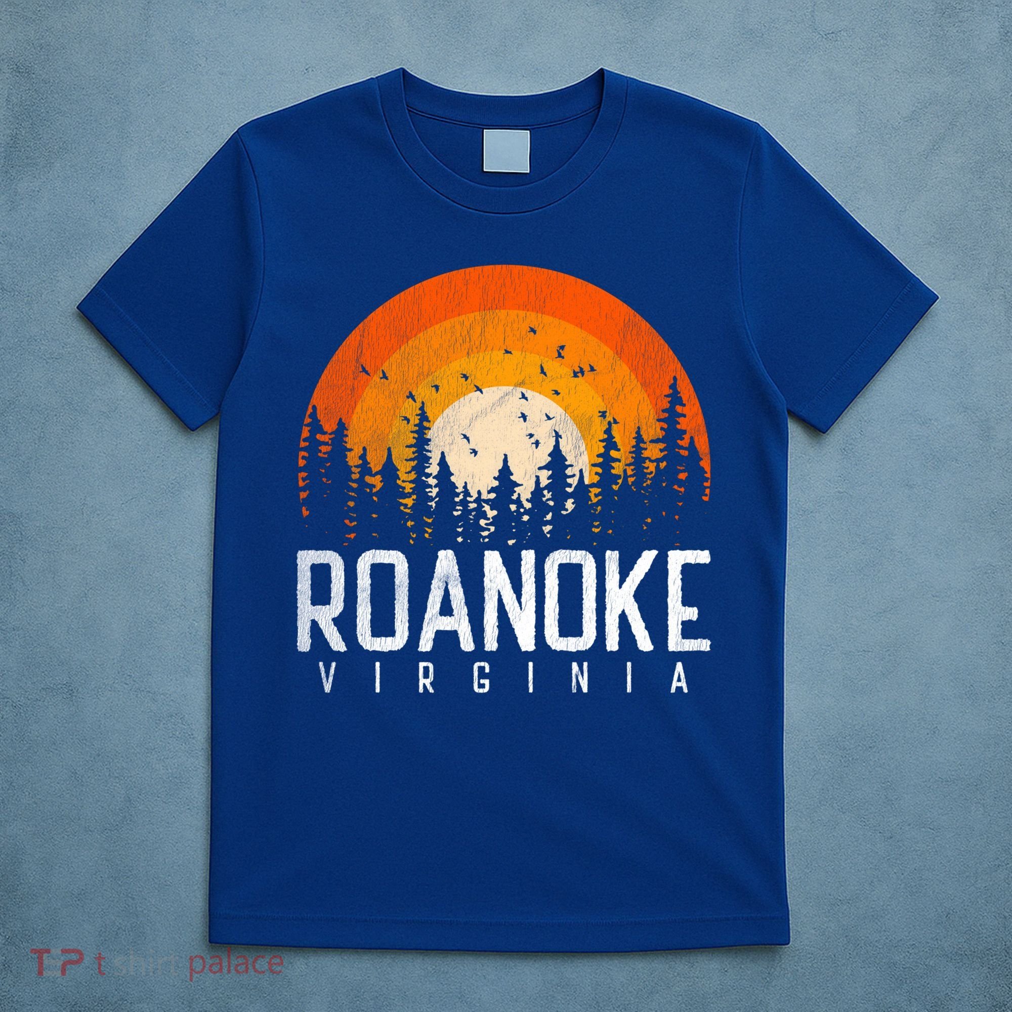 Roanoke Virginia Va Funny Gift Vintage 70s 80s 90s Retro Gift Cute Gift T-Shirt