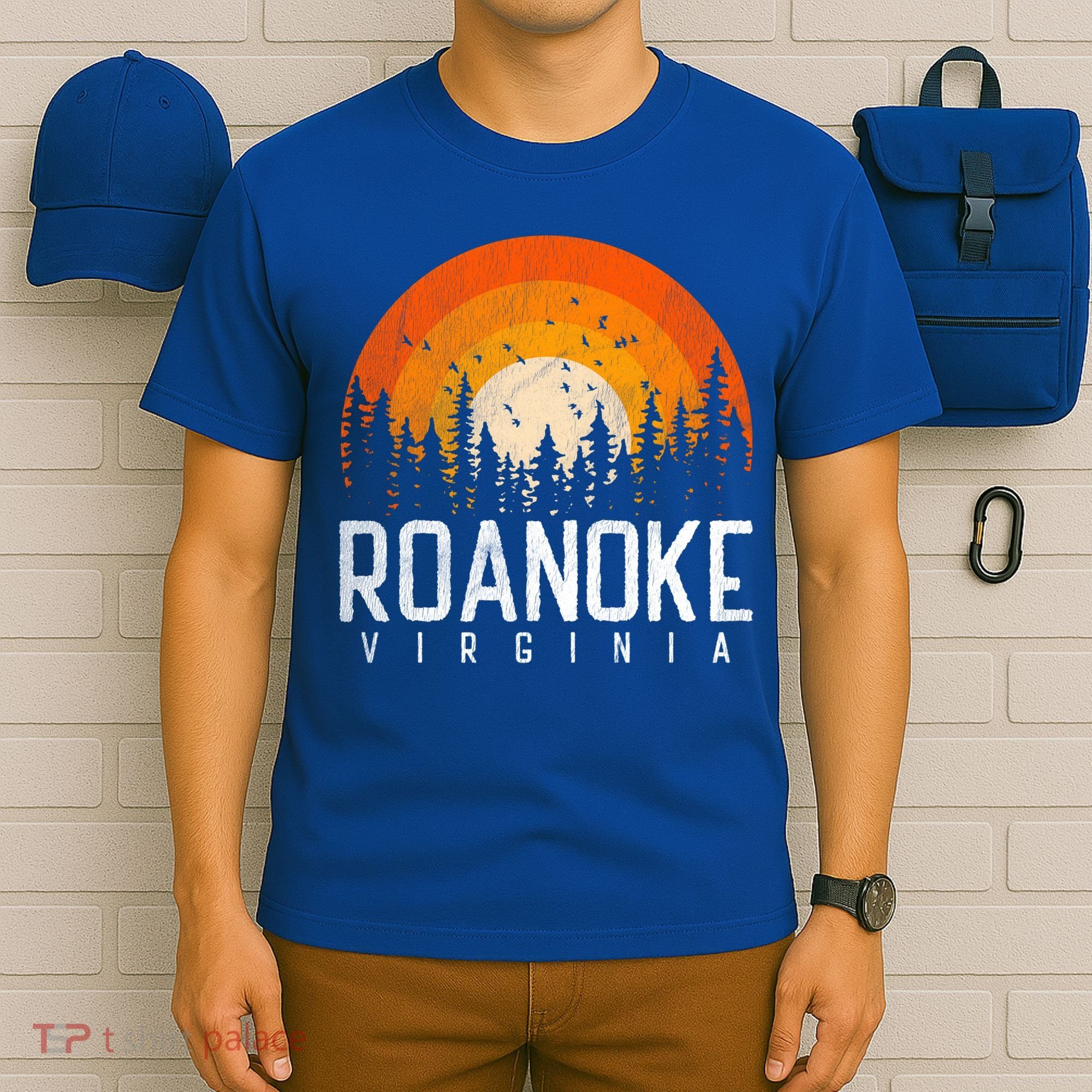 Roanoke Virginia Va Funny Gift Vintage 70s 80s 90s Retro Gift Cute Gift T-Shirt