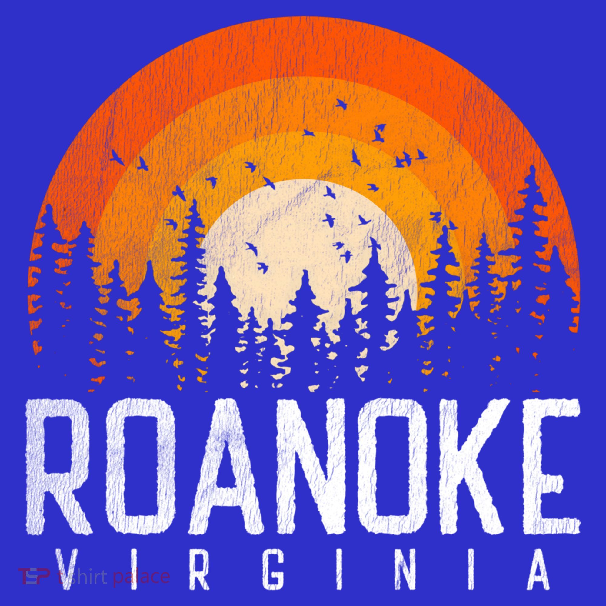Roanoke Virginia Va Funny Gift Vintage 70s 80s 90s Retro Gift Cute Gift T-Shirt