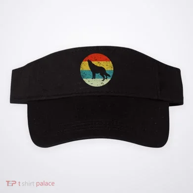 Visor