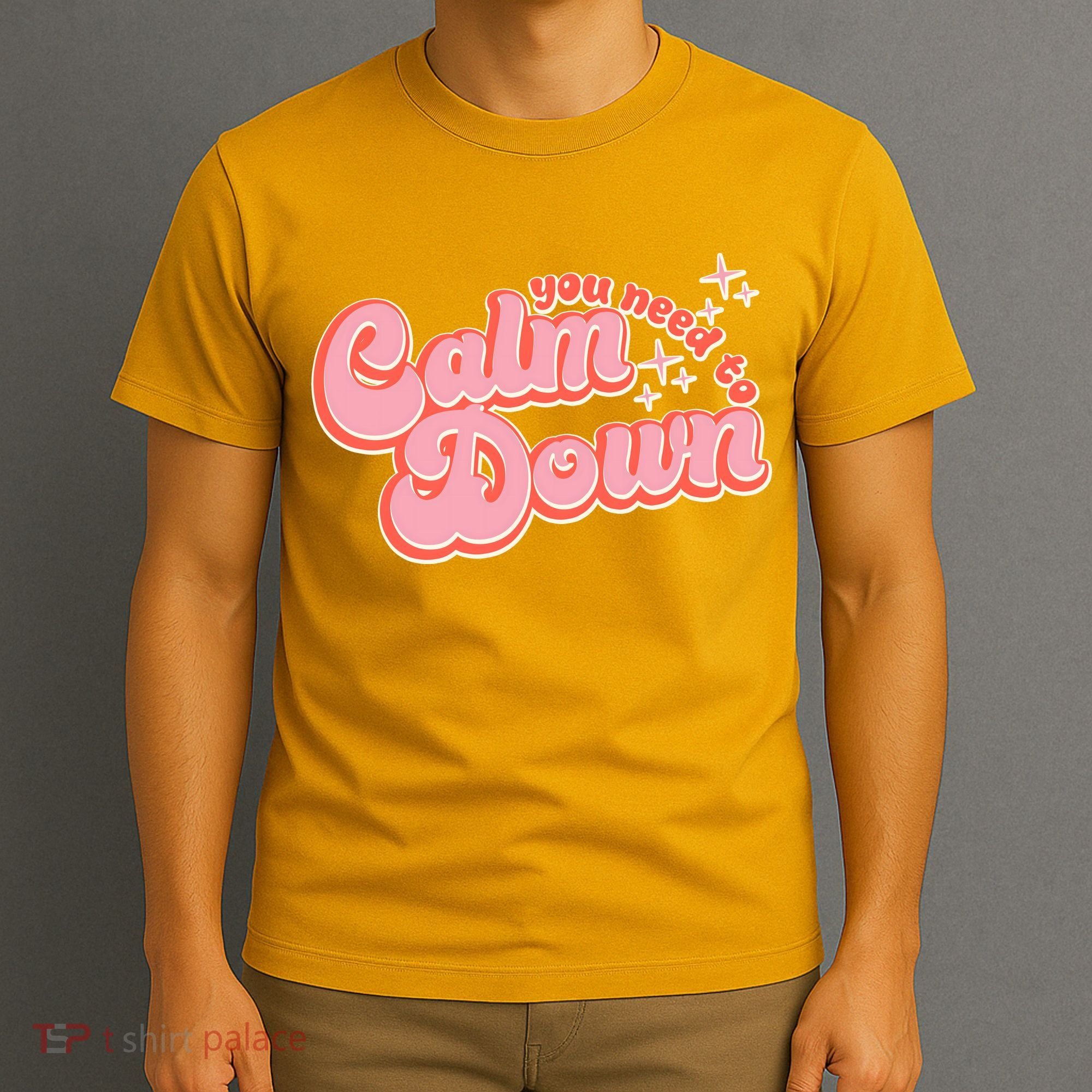 Retro Vintage You Need To Calm Down T-Shirt