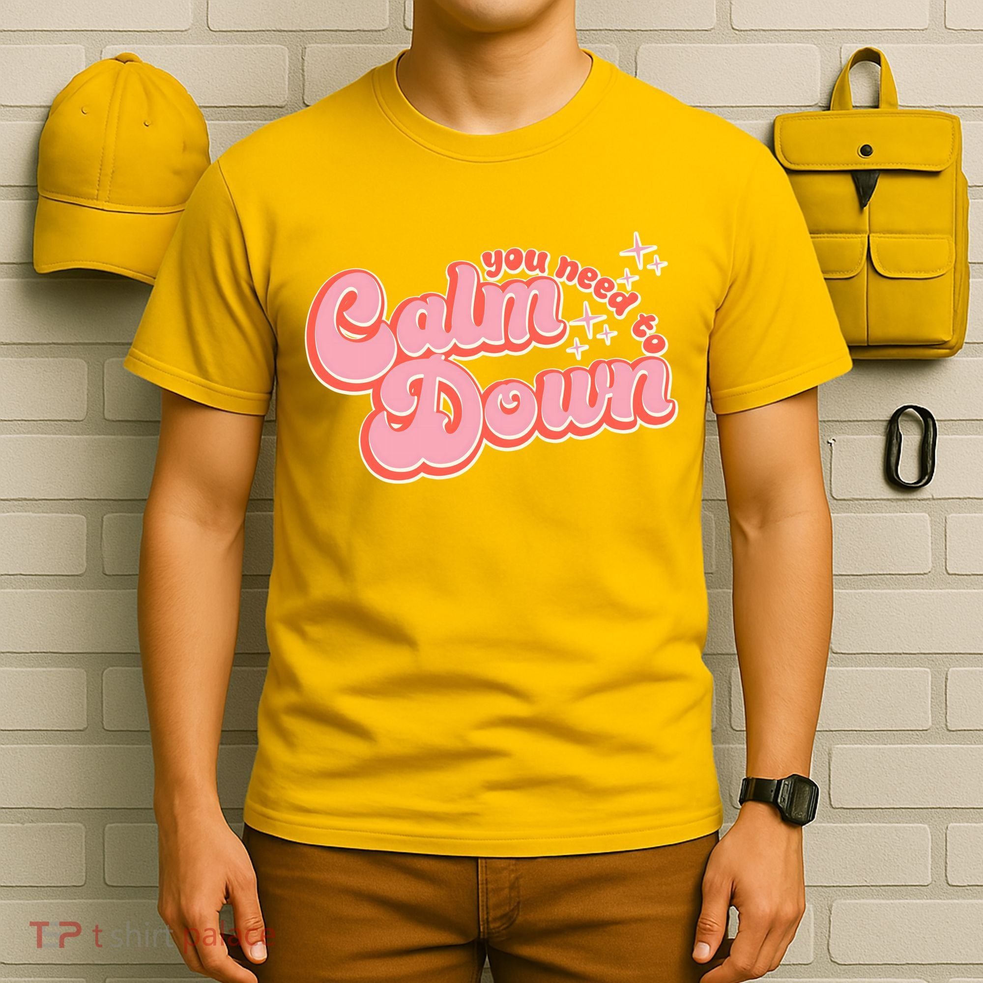 Retro Vintage You Need To Calm Down T-Shirt