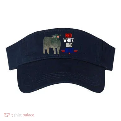 Visor