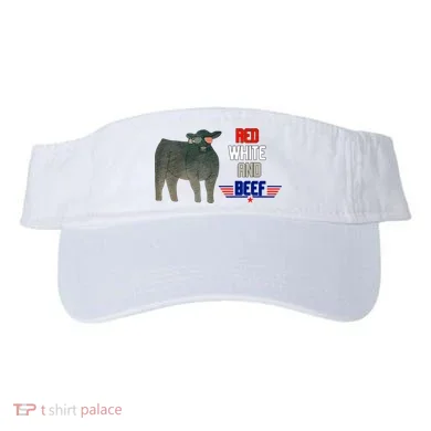 Visor