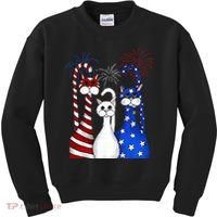 Red White Blue Cats USA Flag Firework 4th Of July Kids Sweatshirt thumb 0