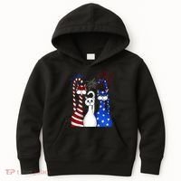 Red White Blue Cats USA Flag Firework 4th Of July Kids Hoodie thumb 0