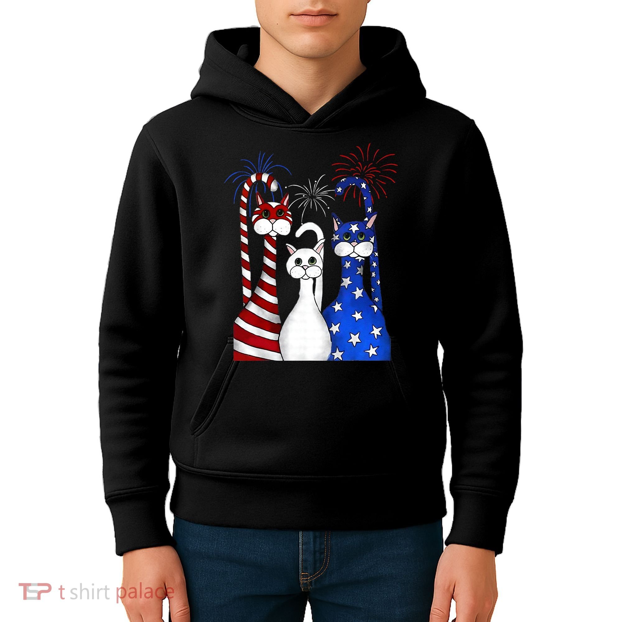 Red White Blue Cats USA Flag Firework 4th Of July Kids Hoodie