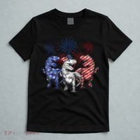 Red White Blue T Rex Dinosaur Firework 4th Of July T-Shirt thumb 5