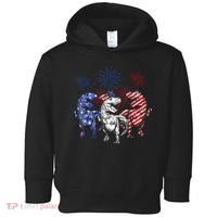 Red White Blue T Rex Dinosaur Firework 4th Of July Toddler Hoodie thumb 0