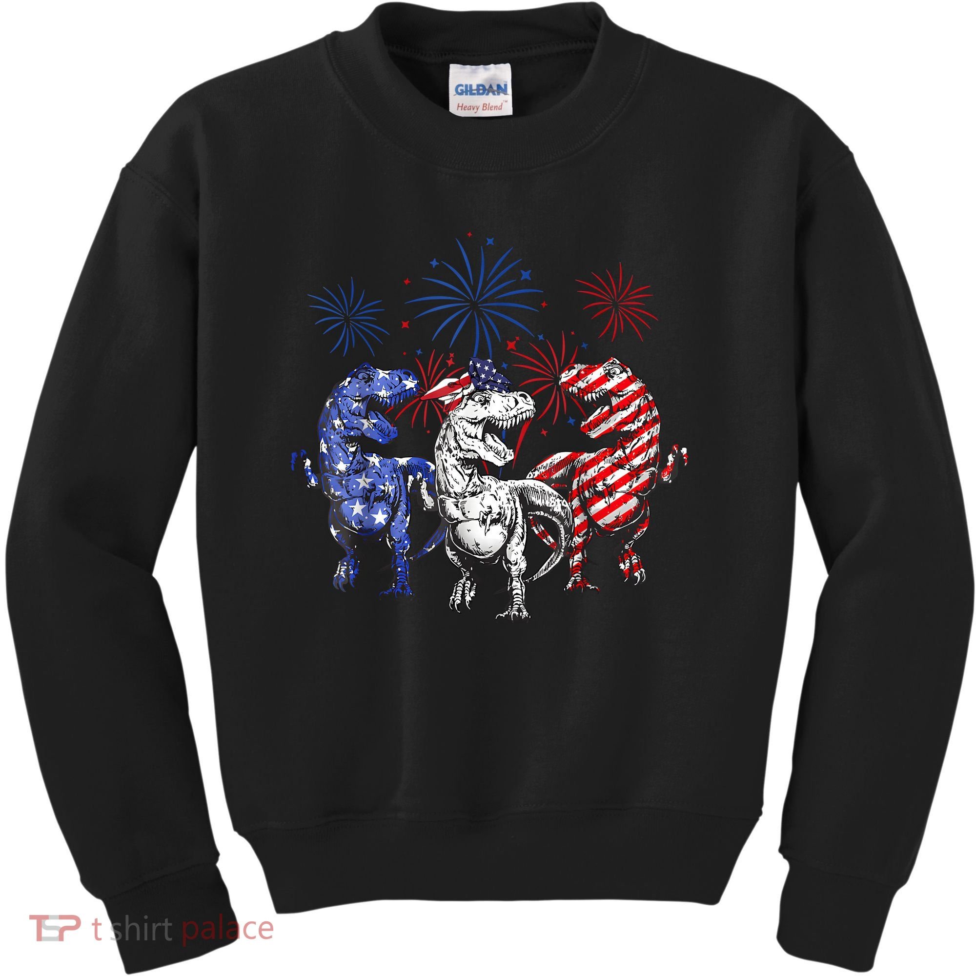 Red White Blue T Rex Dinosaur Firework 4th Of July Kids Sweatshirt