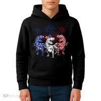 Red White Blue T Rex Dinosaur Firework 4th Of July Kids Hoodie thumb 4