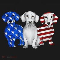 Red White Blue Dachshund American Flag 4th Of July Patriot T-Shirt thumb 7